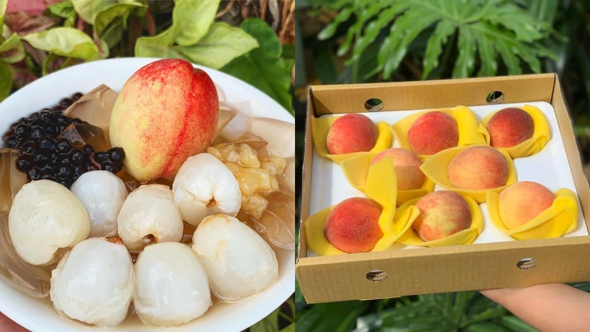 台南無極限!「整顆水蜜桃+肥美荔枝」愛玉冰,把握最後14天快衝