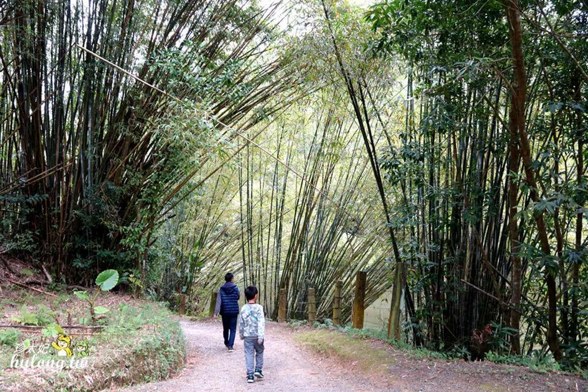大人小孩都愛!新竹戶外4行程:溜攀岩牆滑梯、看河馬刷牙、陪草泥馬散步 大人小孩都愛!新竹戶外4行程:溜攀岩牆滑梯、看河馬刷牙、陪草泥馬散步