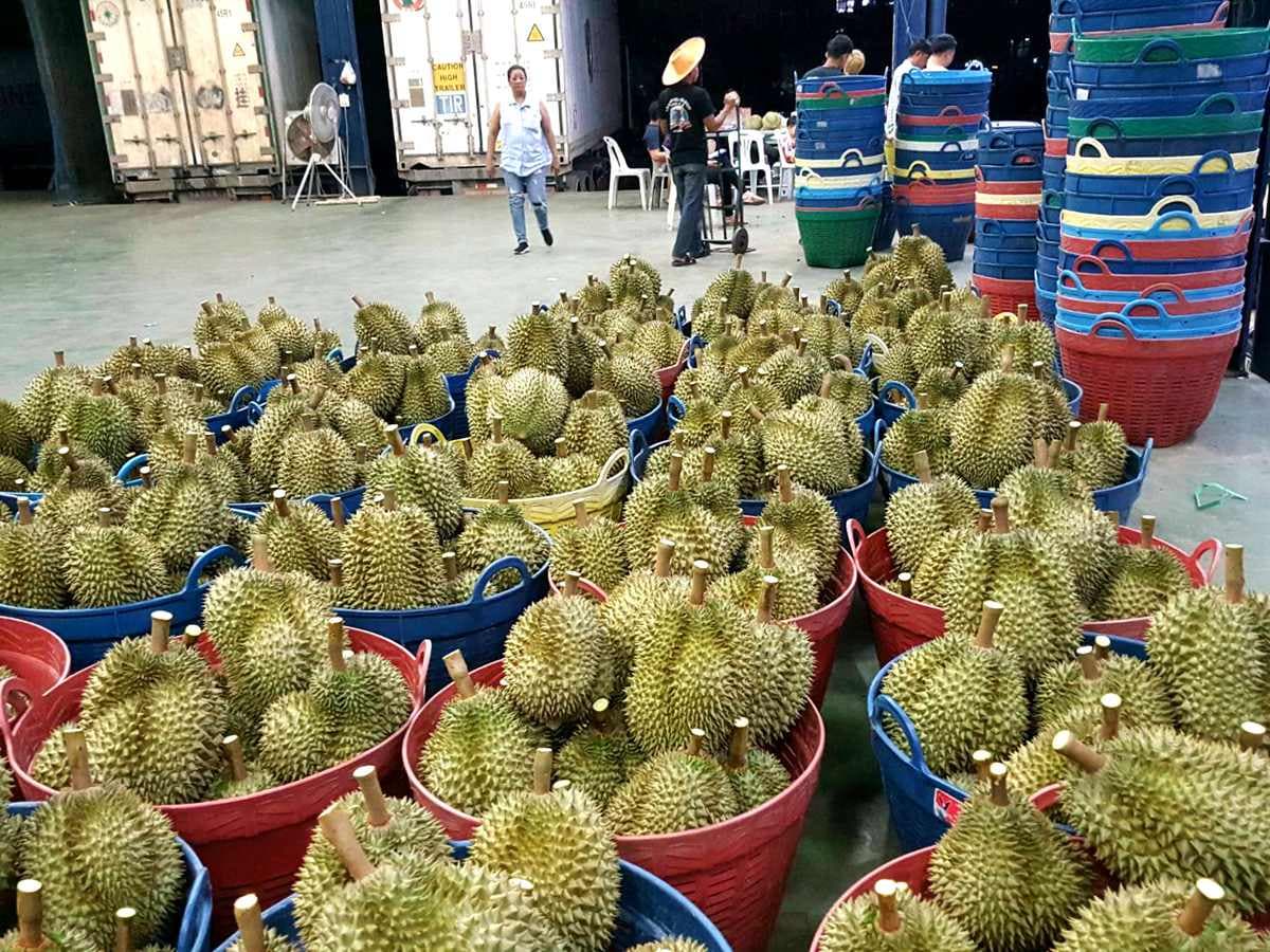 榴槤冰、哈根達斯、芒果、荔枝吃到爽!吃到飽火鍋「夏日限定」水果、冰品任你吃 榴槤冰、哈根達斯、芒果、荔枝吃到爽!吃到飽火鍋「夏日限定」水果、冰品任你吃