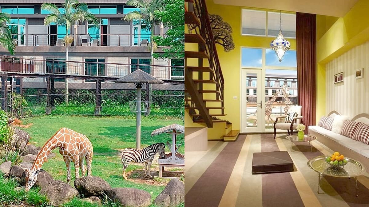 全台唯一「動物園飯店」不到千元!6人可住超狂「樓中樓」,還能爽玩樂園2天