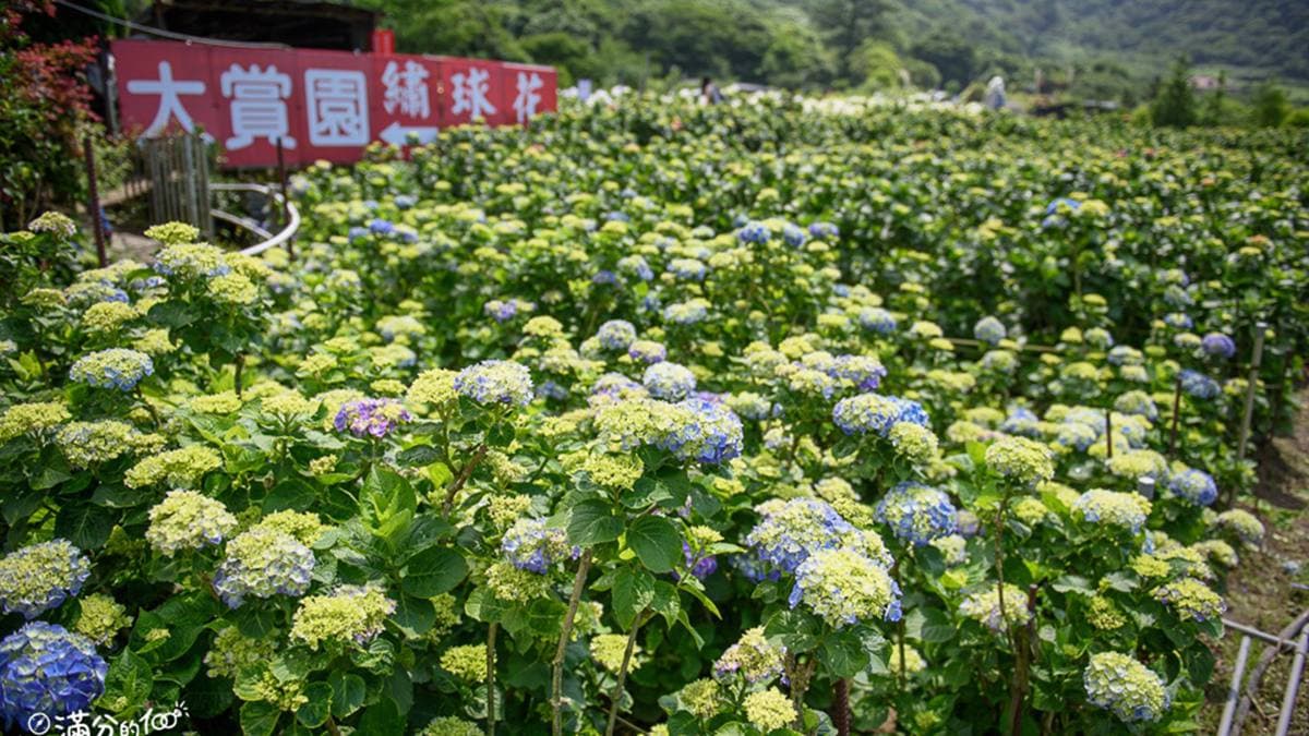 大賞園