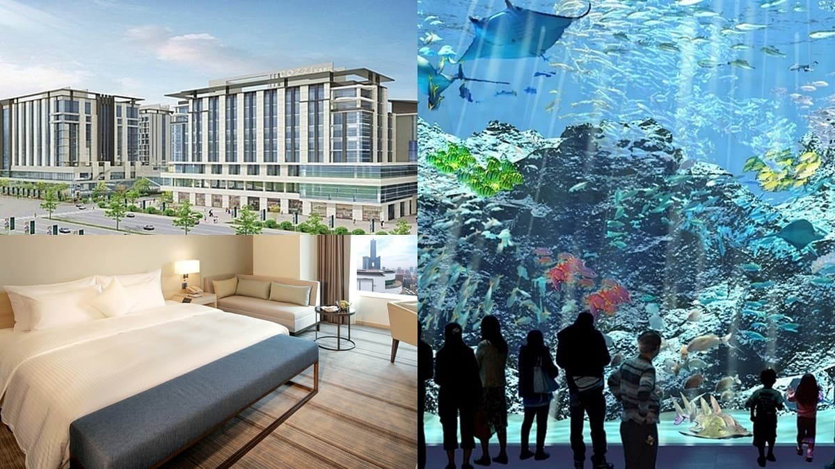 超狂「水族館飯店」2千元初搶先住!全台6大飯店爽住24小時、免費升等