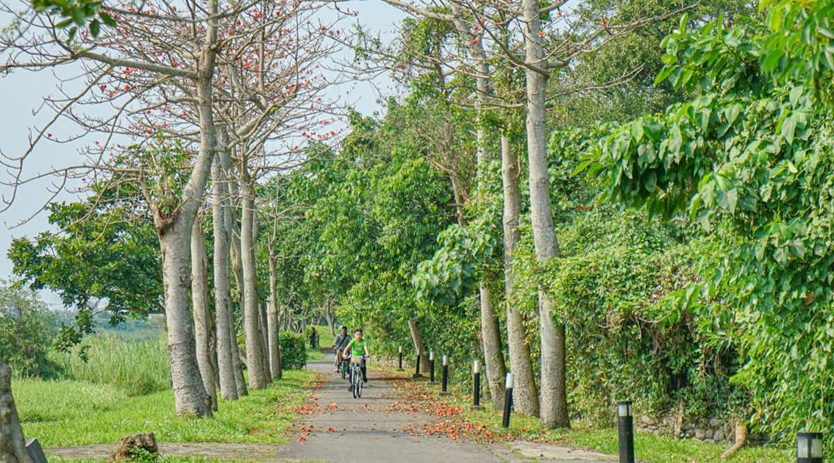 【全台9條親子自行車道】好騎又漂亮!海景、水岸、綠色隧道全都收,週末出遊要筆記 【全台9條親子自行車道】好騎又漂亮!海景、水岸、綠色隧道全都收,週末出遊要筆記