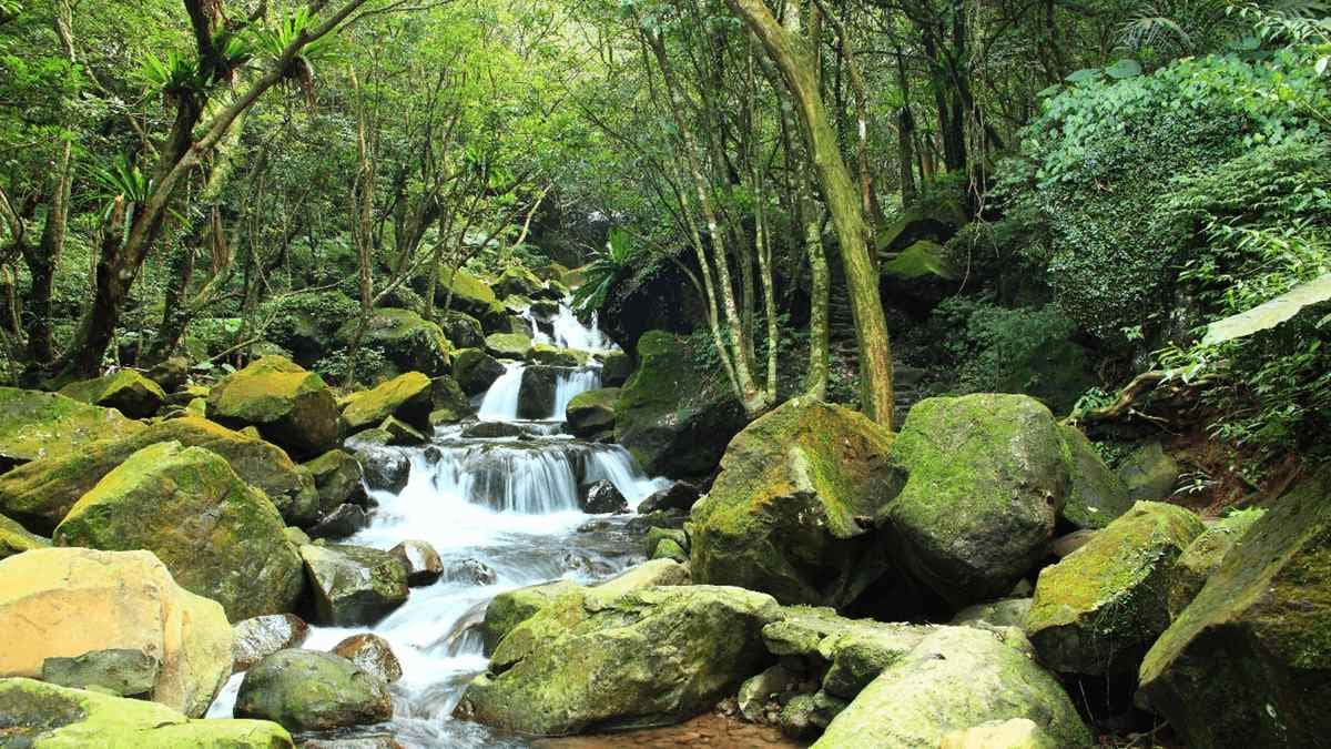 新北消暑美拍祕境!台版「奧入瀨溪流」青山瀑布步道輕鬆好走