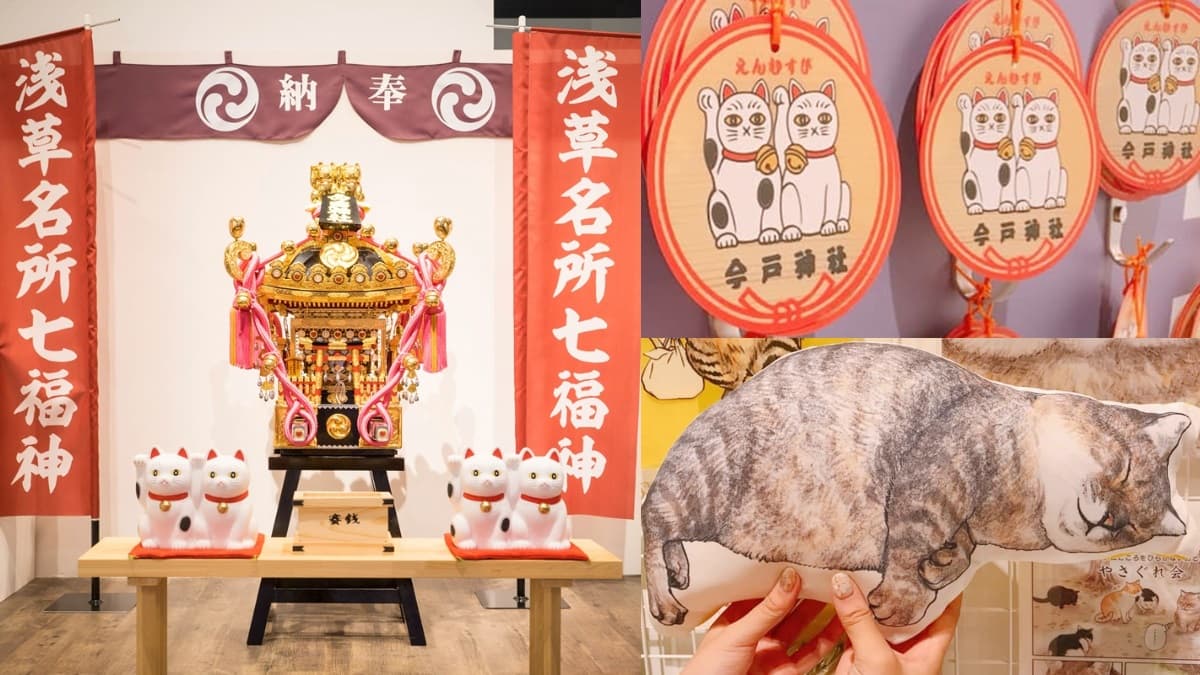 貓奴衝了!超萌「日本福貓展」降臨華山,日劇結緣神轎、人氣喵漫畫海外首展都在這