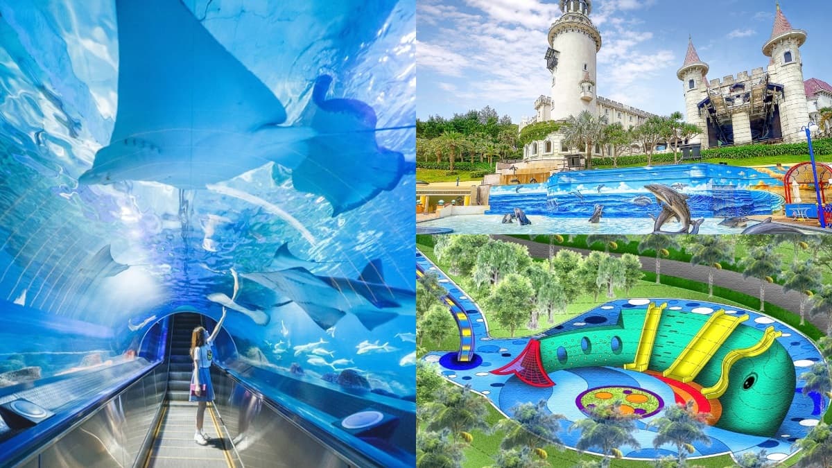 身分證有G、U、V注意!遠雄海洋公園「不限次數」699元爽玩到9月底,加碼3大新設施