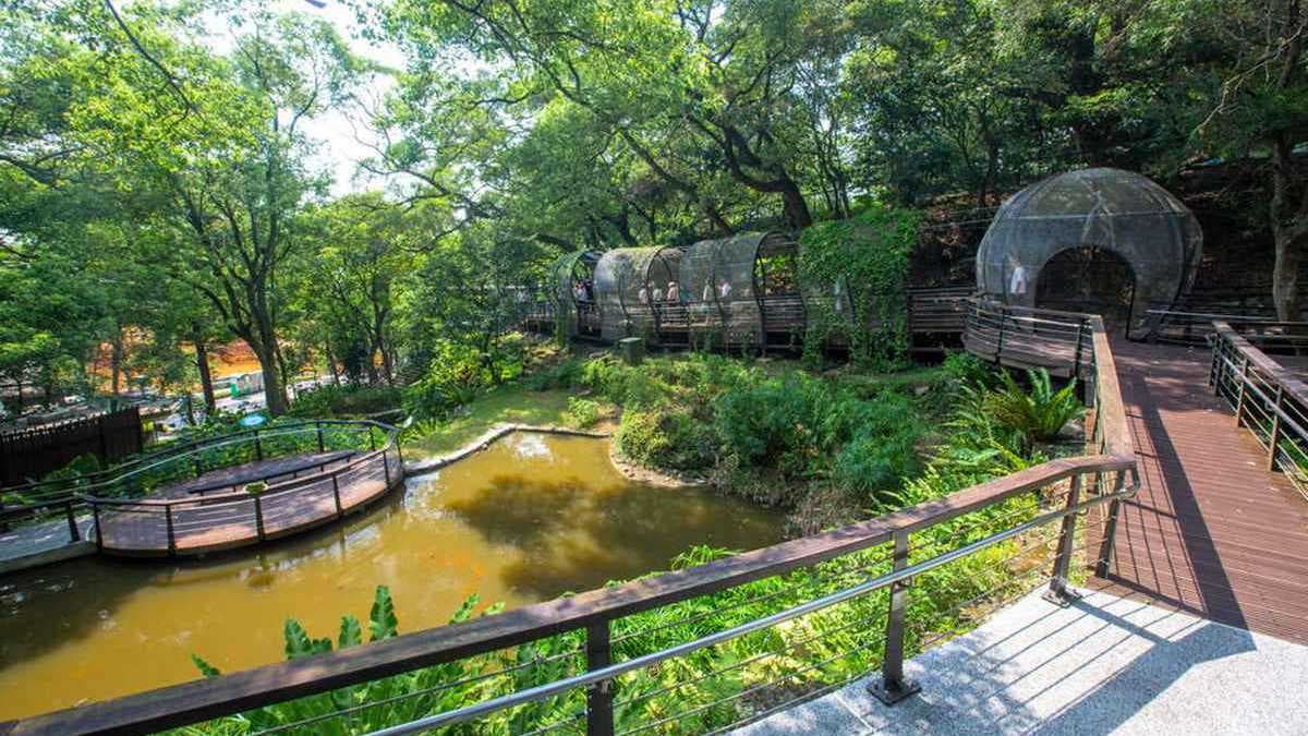 虎頭山全齡友善步道
