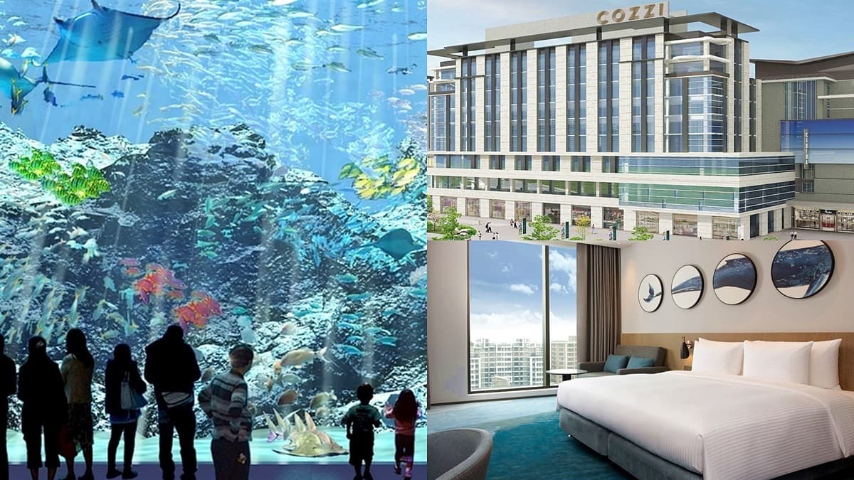 全台第一家「水族館飯店」搶先入住!海洋主題房打卡、北台最大水族館夜宿