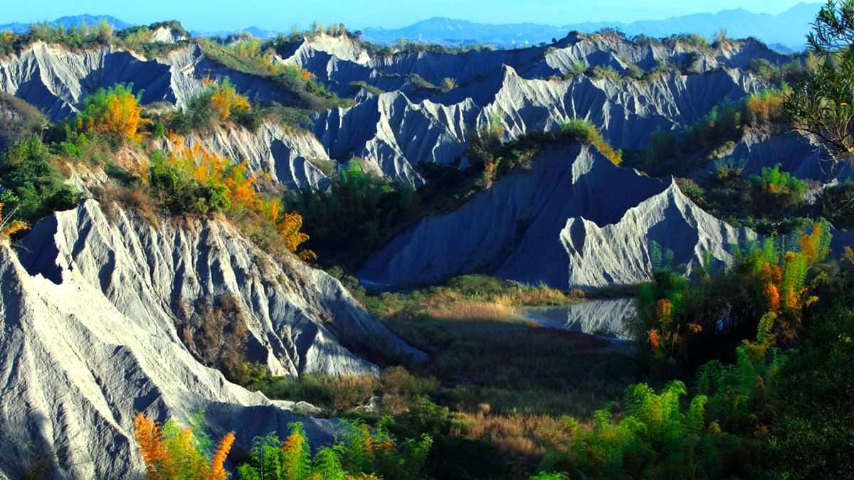 草山月世界