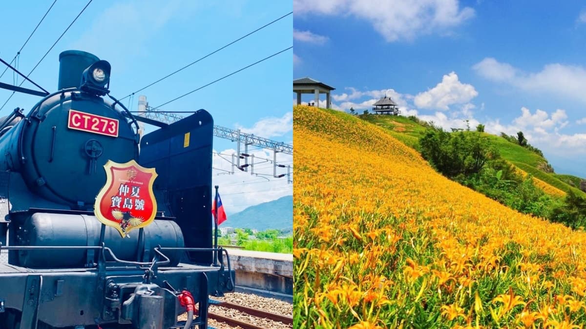 懶人出遊首選!台鐵「郵輪式列車」行程吃、住、交通全包,3大金針花勝地、夜宿海生館都衝了
