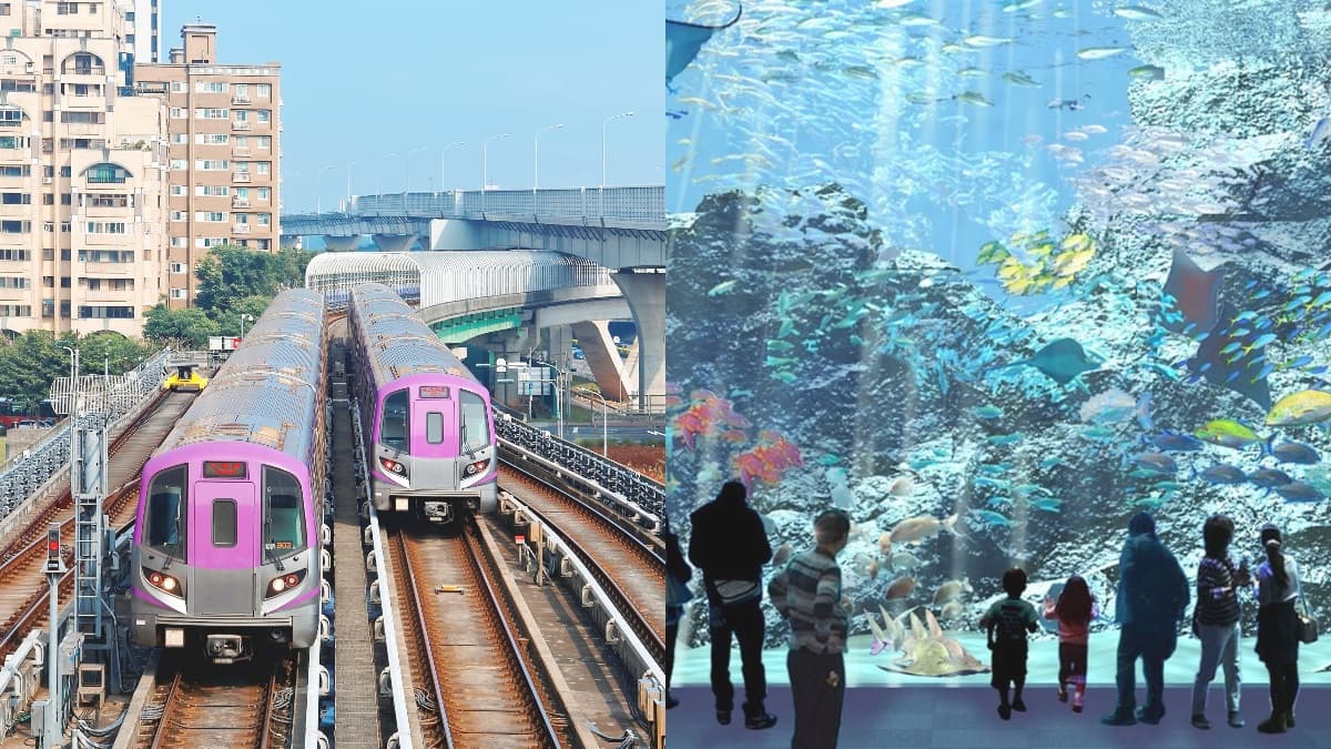桃捷一日票「半價」快衝!朝聖最夯「八景島水族館」,沿線踩點還有最低5折優惠