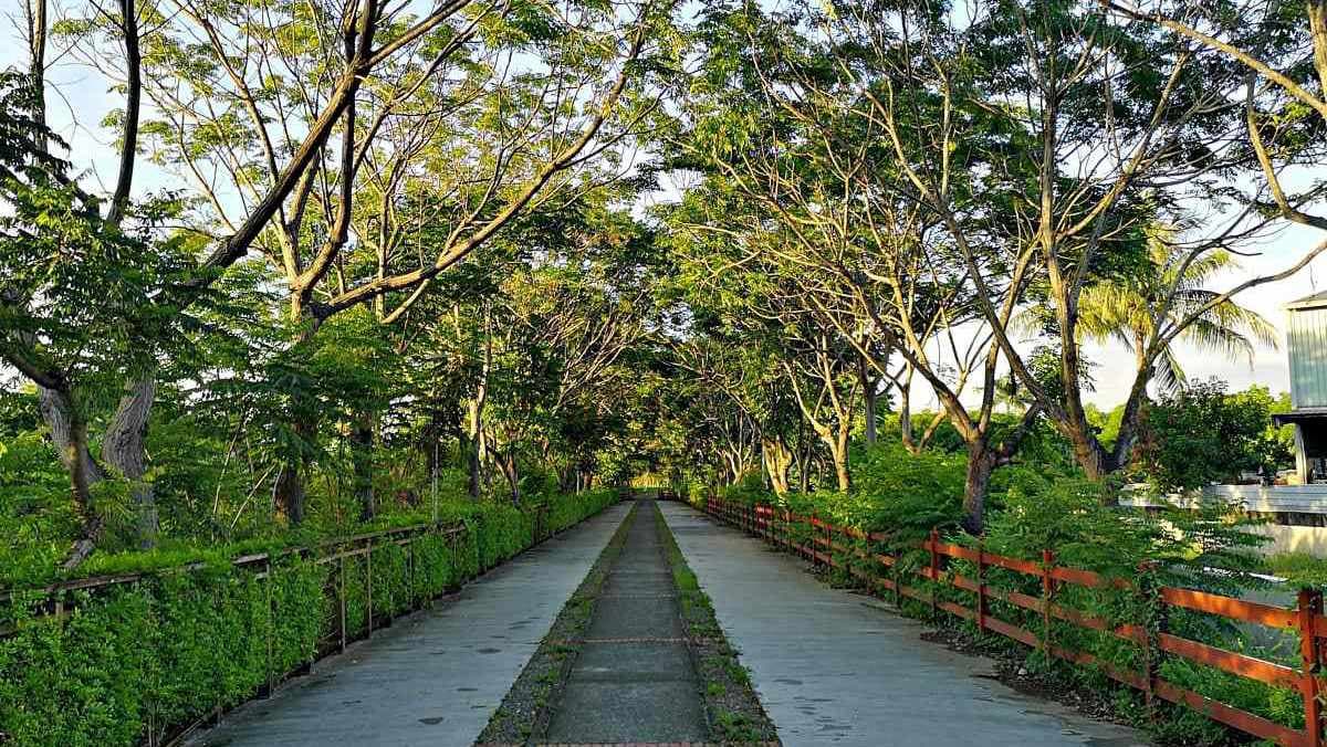 嘉油鐵馬道 img