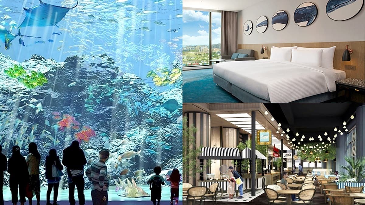全台首家「海洋飯店」不到2000元能住!「北台最大水族館」陪你睡、碼頭市集吃到飽