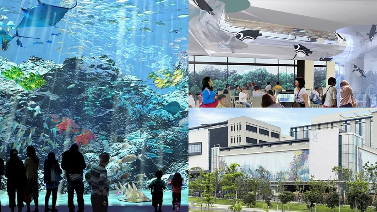 北台最大水族館「Xpark」宣布開幕!4層樓觀景窗、360度演出,還有超萌「企鵝咖啡館」