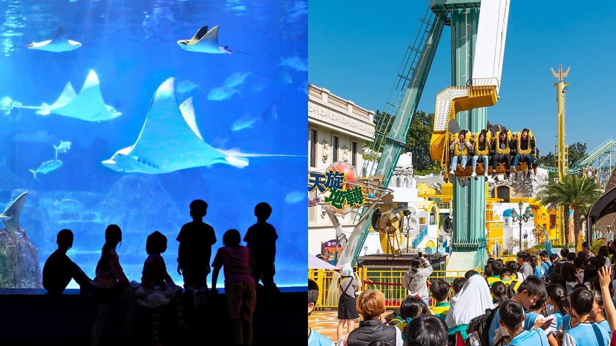 全台5大樂園暑期好康!門票20元、免費帶人進場、夜宿水族館魟魚陪睡