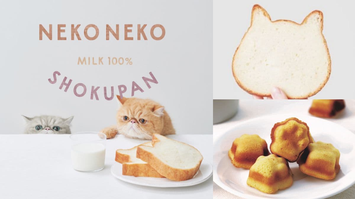 日本夯爆「貓咪生吐司」來了!「NEKO NEKO SHOKUPAN貓咪吐司專賣店」預計這時開
