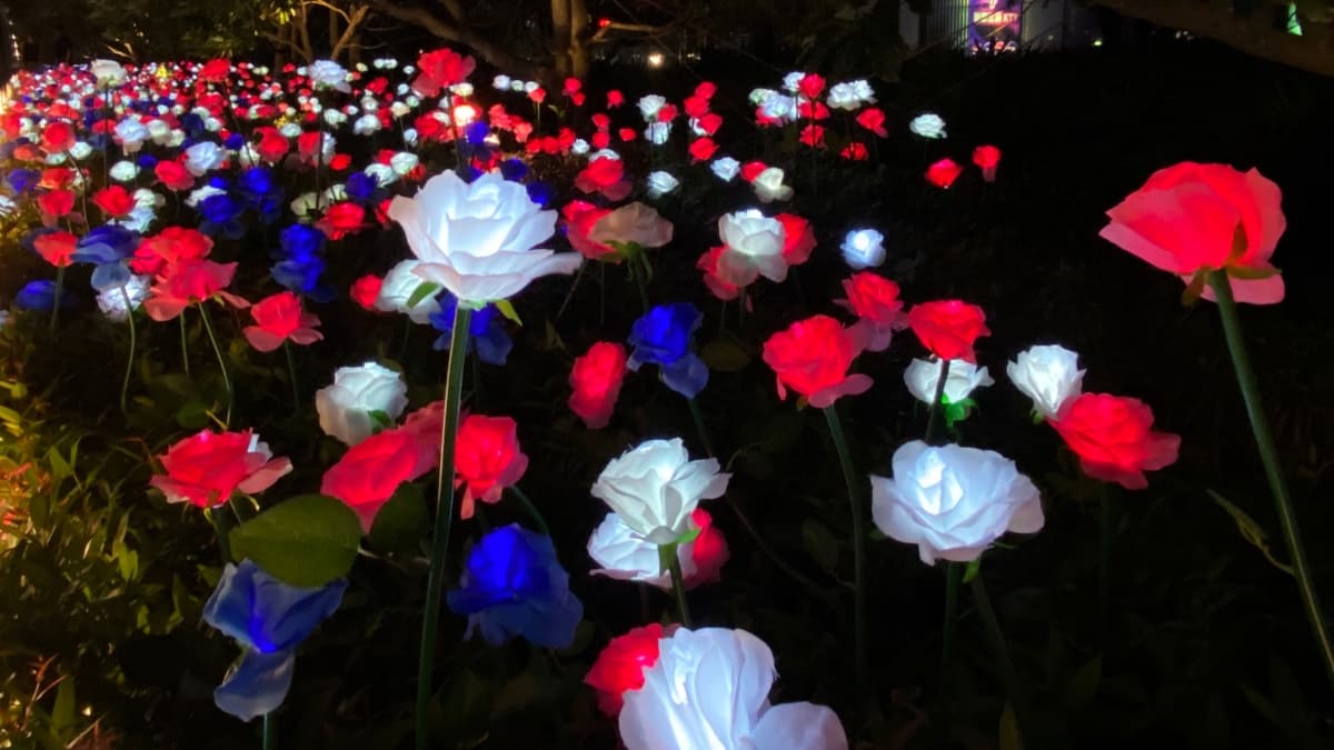 打卡熱點再一波!夢幻「4000朵玫瑰燈海」就在信義區,讓你美到親友都讚嘆