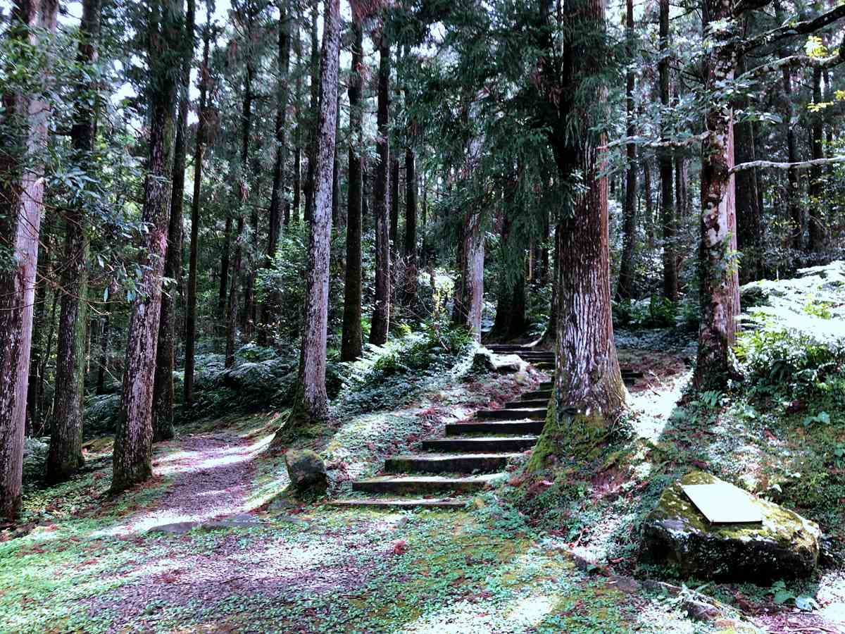 比振興三倍券更好康,免費領「農遊券、客庄旅遊券、動滋券、藝FUN券」,最多爽花2150元 比振興三倍券更好康,免費領「農遊券、客庄旅遊券、動滋券、藝FUN券」,最多爽花2150元