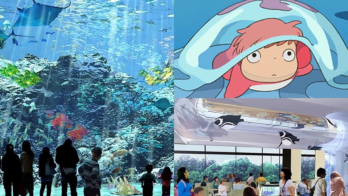 超夯Xpark水族館「4大設施」曝光!電影《崖上的波妞》原型現身、全台首創「企鵝咖啡館」