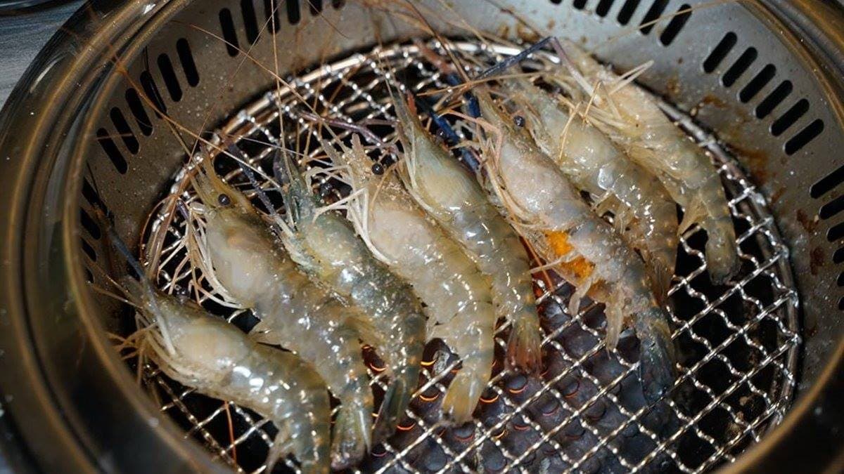 蝦控必看!新竹3間現撈泰國蝦讓你吃到爽,第1家還能任選10種料理方式 蝦控必看!新竹3間現撈泰國蝦讓你吃到爽,第1家還能任選10種料理方式
