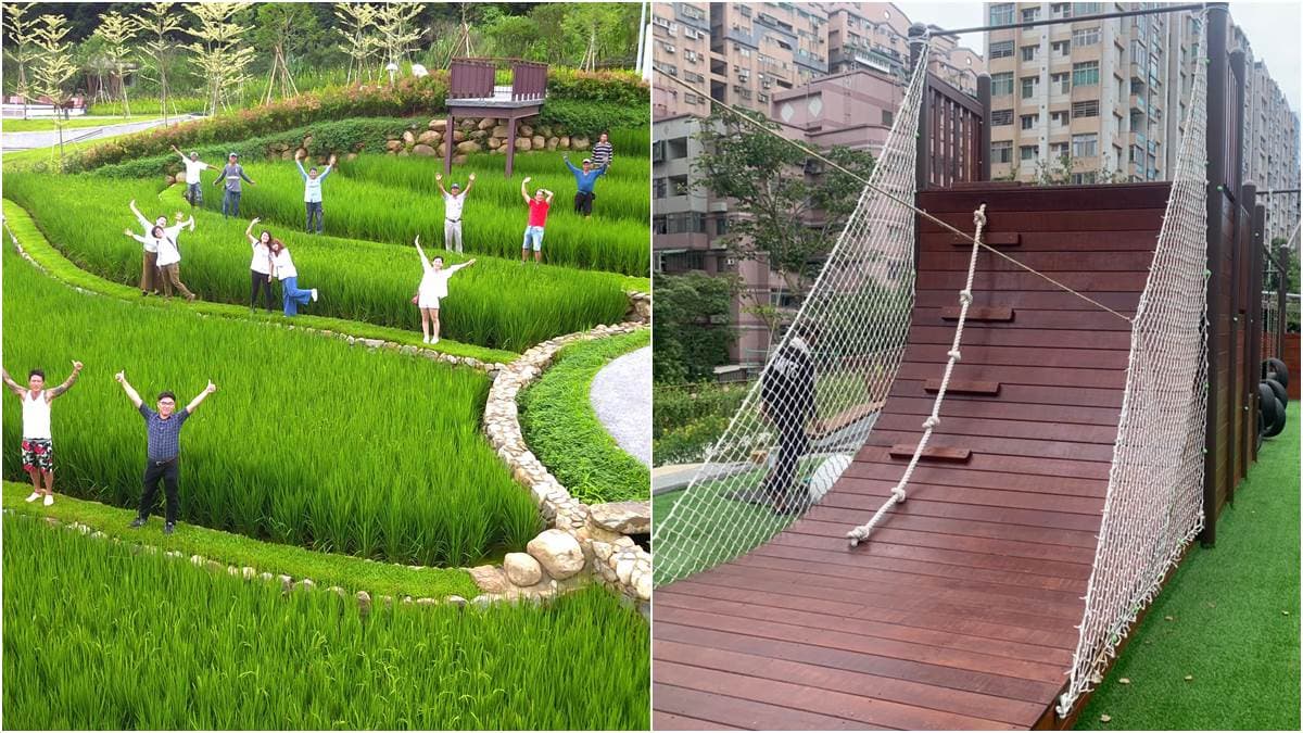 親子免費新景點,全台首創「梯田公園」在桃園,森林挑戰區勇闖9關