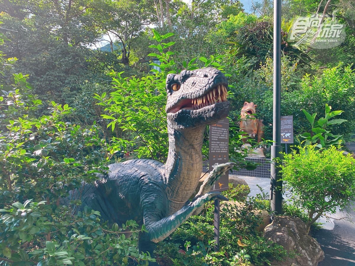 全台唯一「恐龍飯店」加碼延長!到11月都能去住「真實版侏羅紀公園」 全台唯一「恐龍飯店」加碼延長!到11月都能去住「真實版侏羅紀公園」