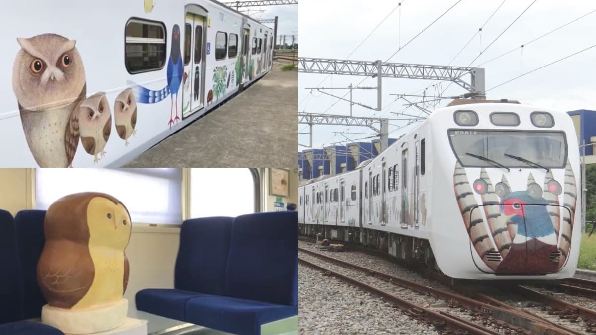 把握最後機會!「里山動物彩繪2.0列車」末班行駛時間曝光,還有北車特展可看