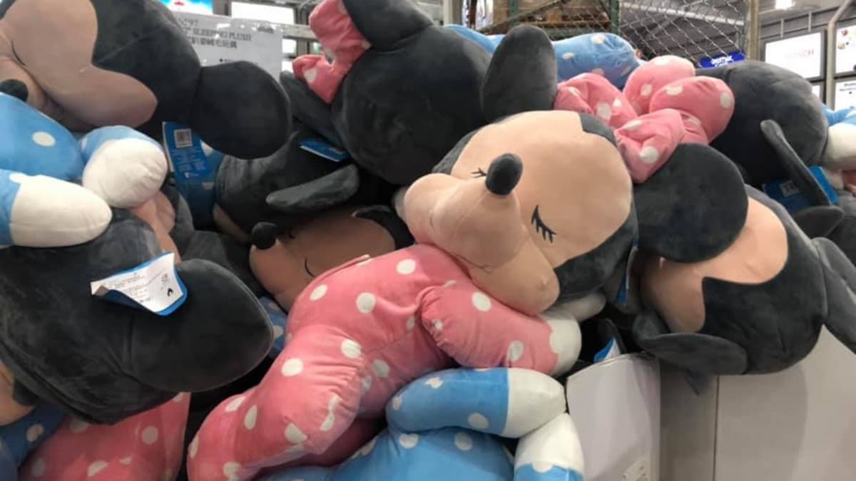 快帶回家一起廢!好市多32吋「趴睡米奇米妮」550元有找,網吶喊:「好欠買啊」 快帶回家一起廢!好市多32吋「趴睡米奇米妮」550元有找,網吶喊:「好欠買啊」