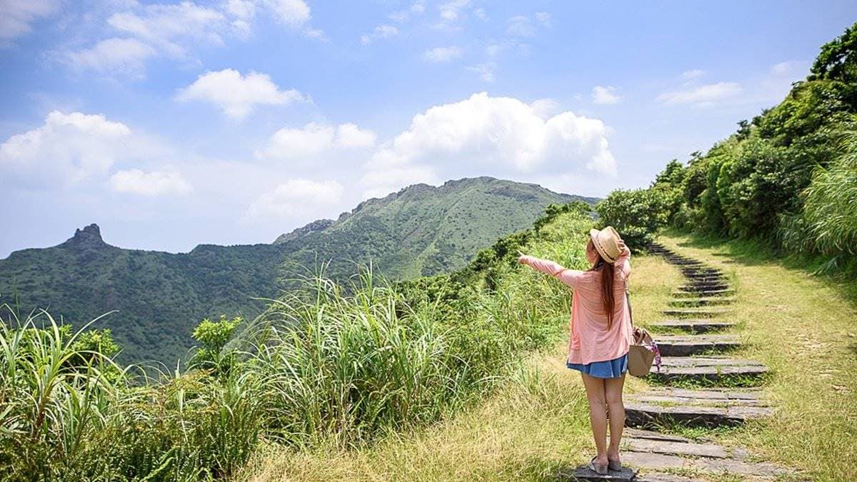 網美踏青必訪!新北3大美拍綠色祕境:鱷魚島、天空茶園、石頭魔法陣 網美踏青必訪!新北3大美拍綠色祕境:鱷魚島、天空茶園、石頭魔法陣