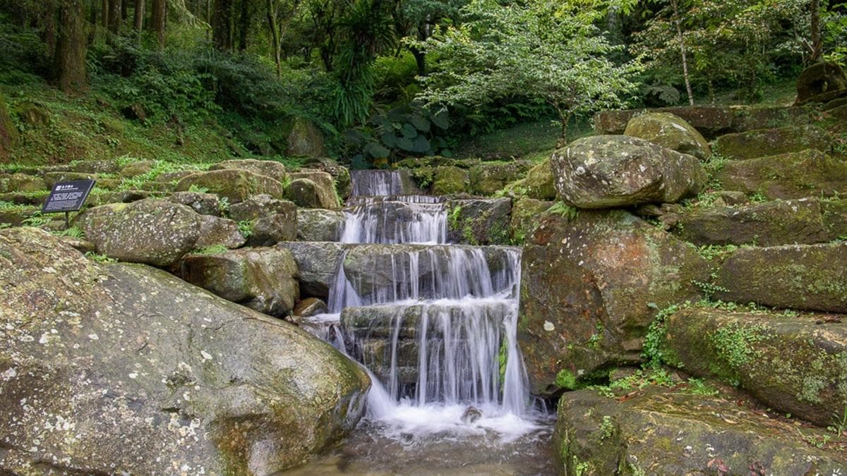 網美踏青必訪!新北3大美拍綠色祕境:鱷魚島、天空茶園、石頭魔法陣 網美踏青必訪!新北3大美拍綠色祕境:鱷魚島、天空茶園、石頭魔法陣
