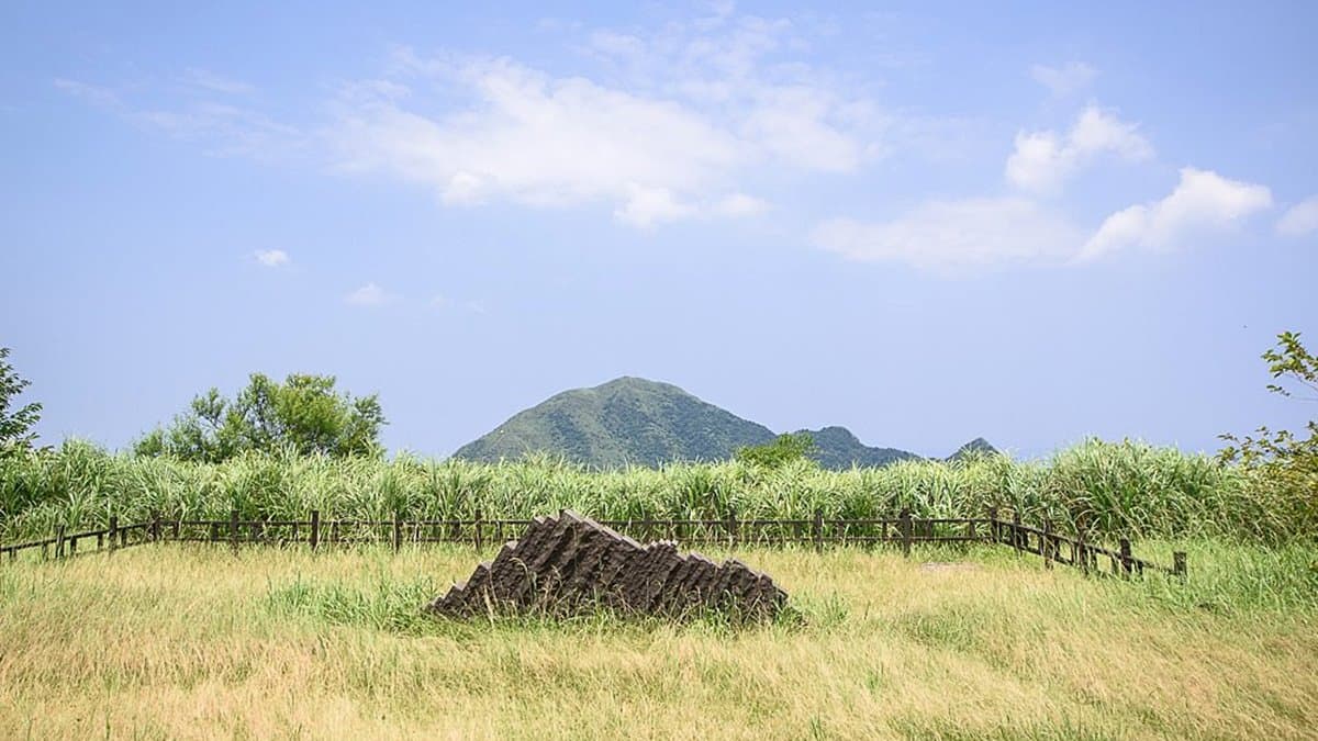 網美踏青必訪!新北3大美拍綠色祕境:鱷魚島、天空茶園、石頭魔法陣 網美踏青必訪!新北3大美拍綠色祕境:鱷魚島、天空茶園、石頭魔法陣