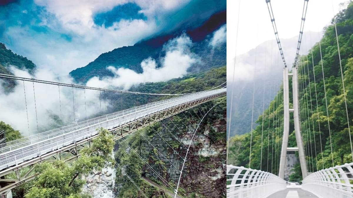 太魯閣最美「山月吊橋」開放日確定!站在「42層樓高空」打卡看峽谷