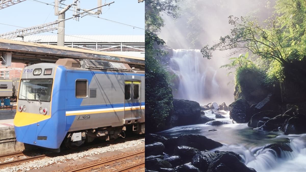 8月新制上路!台鐵訂票新規、森林遊樂區禁令、租金補貼一次看