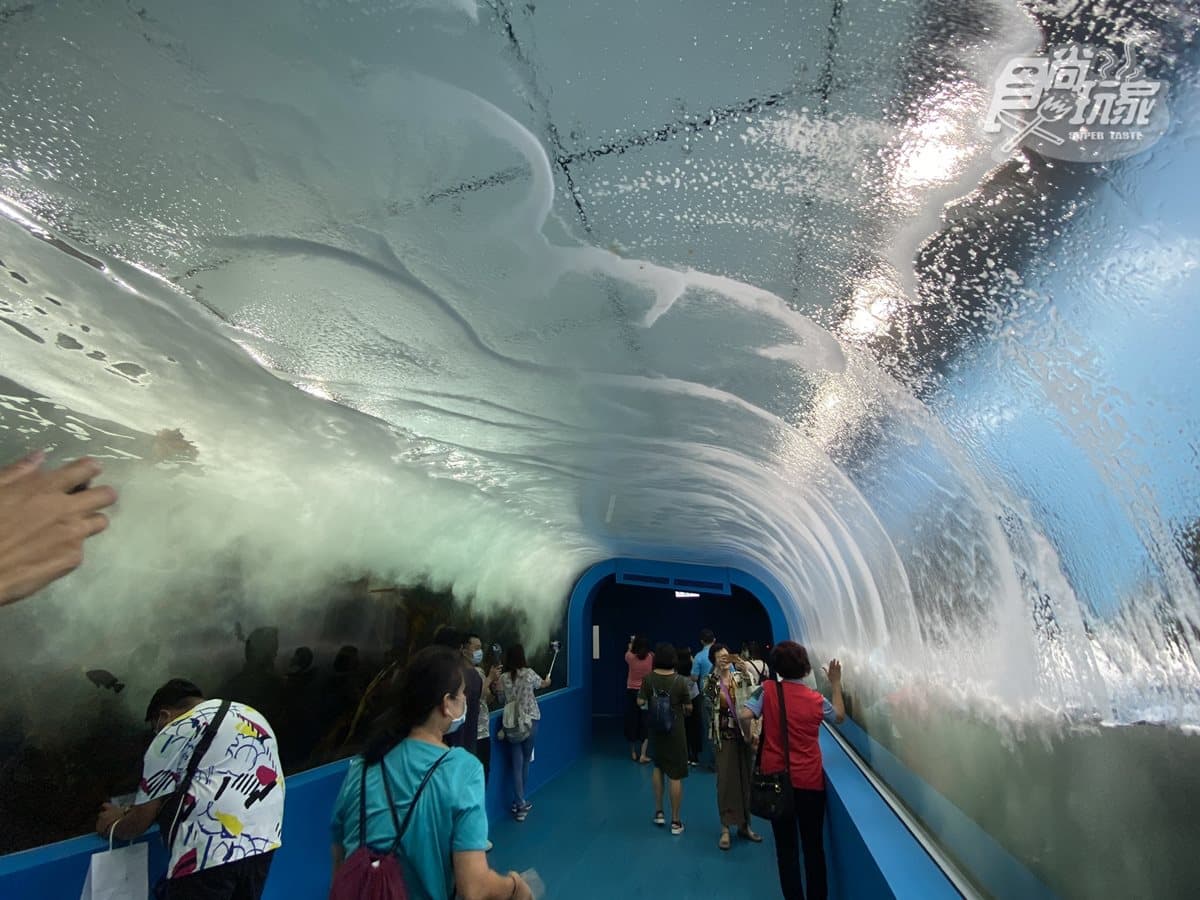 北部最大「XPARK」水族館8/7開幕!13個必看亮點:12公尺巨型水槽、企鵝咖啡廳 北部最大「XPARK」水族館8/7開幕!13個必看亮點:12公尺巨型水槽、企鵝咖啡廳