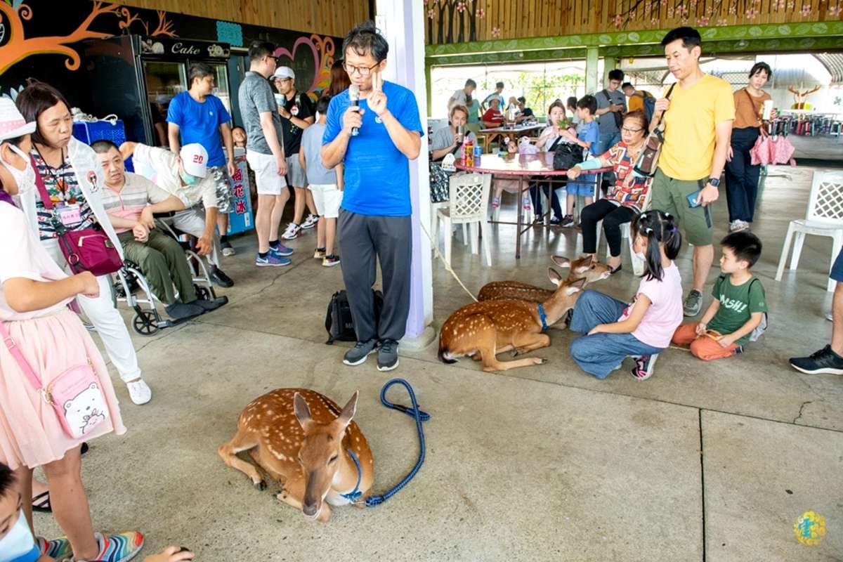 【全台20個親子動物農場】超可愛動物朋友集合啦!羊駝、狐獴、小鴨、毛兔、萌萌豬,還有斑比陪賽跑 【全台20個親子動物農場】超可愛動物朋友集合啦!羊駝、狐獴、小鴨、毛兔、萌萌豬,還有斑比陪賽跑