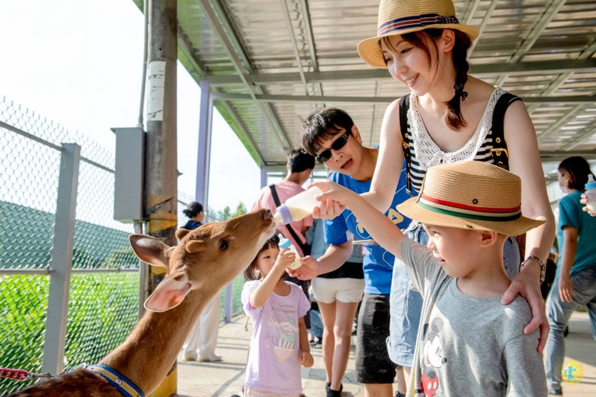【全台20個親子動物農場】超可愛動物朋友集合啦!羊駝、狐獴、小鴨、毛兔、萌萌豬,還有斑比陪賽跑 【全台20個親子動物農場】超可愛動物朋友集合啦!羊駝、狐獴、小鴨、毛兔、萌萌豬,還有斑比陪賽跑
