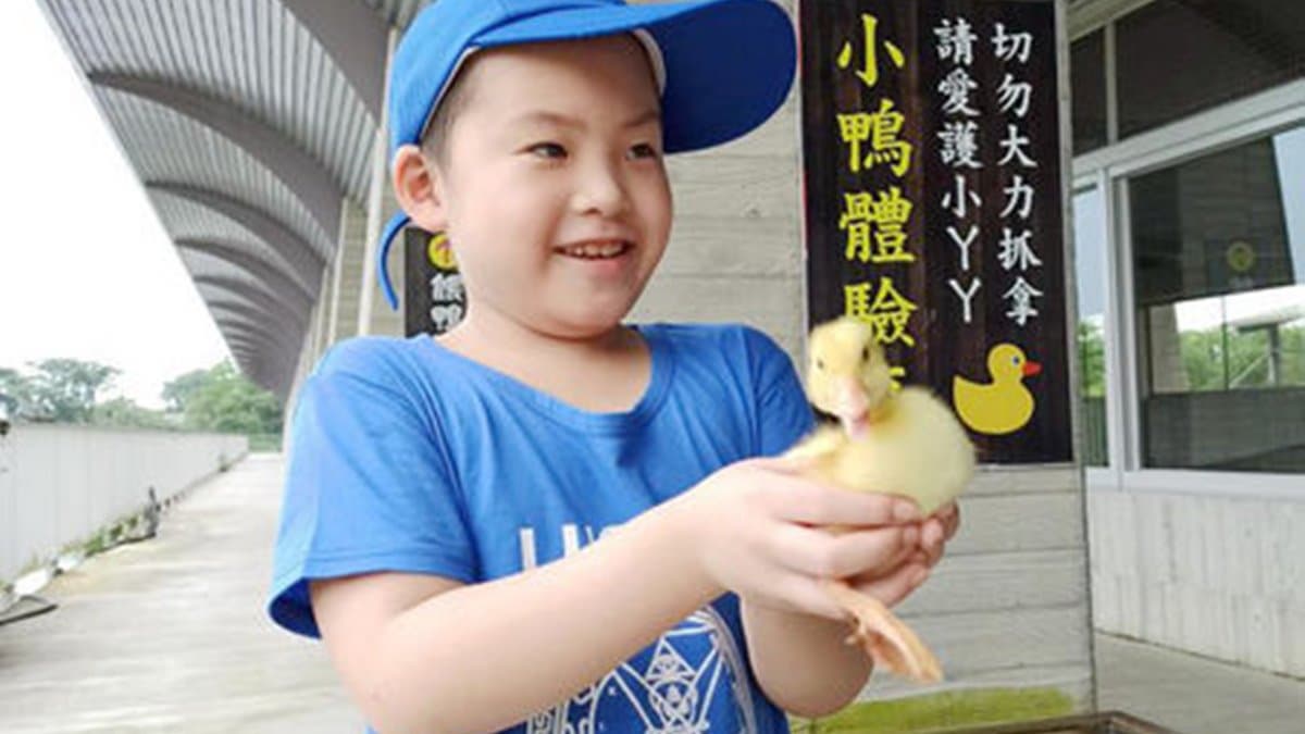 【全台20個親子動物農場】超可愛動物朋友集合啦!羊駝、狐獴、小鴨、毛兔、萌萌豬,還有斑比陪賽跑 【全台20個親子動物農場】超可愛動物朋友集合啦!羊駝、狐獴、小鴨、毛兔、萌萌豬,還有斑比陪賽跑