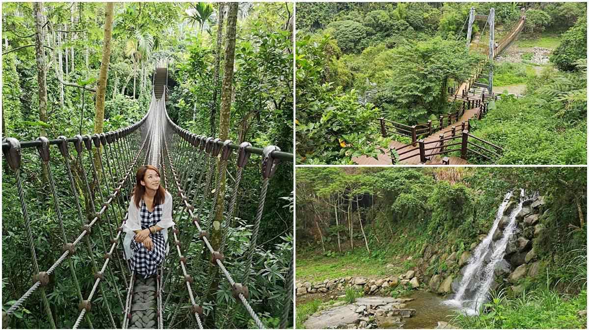 不出國遊東南亞叢林!雲林繩索吊橋刺激又好拍,「小天梯」還能俯瞰溪谷美景