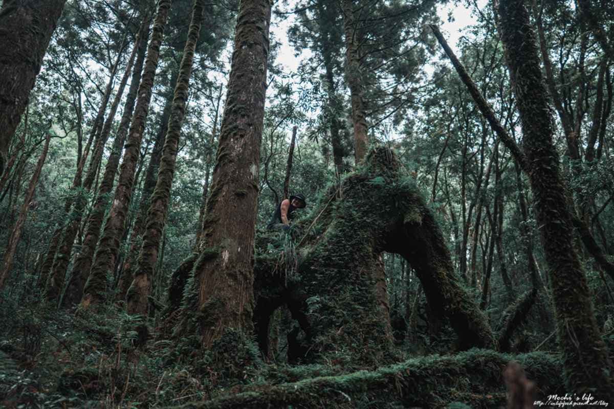 夢幻「十七歲少女之湖」難走嗎?松蘿湖登山新手老實說,這樣才能拍美照! 夢幻「十七歲少女之湖」難走嗎?松蘿湖登山新手老實說,這樣才能拍美照!