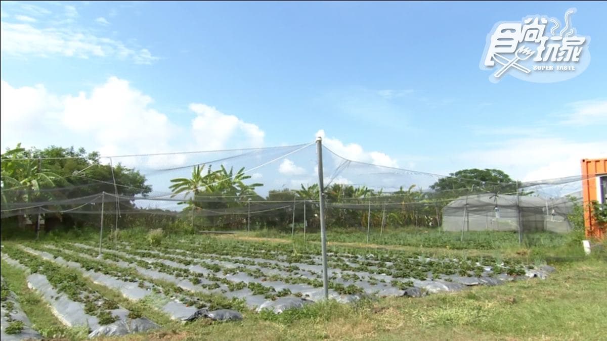昱禾樂有機生態農場