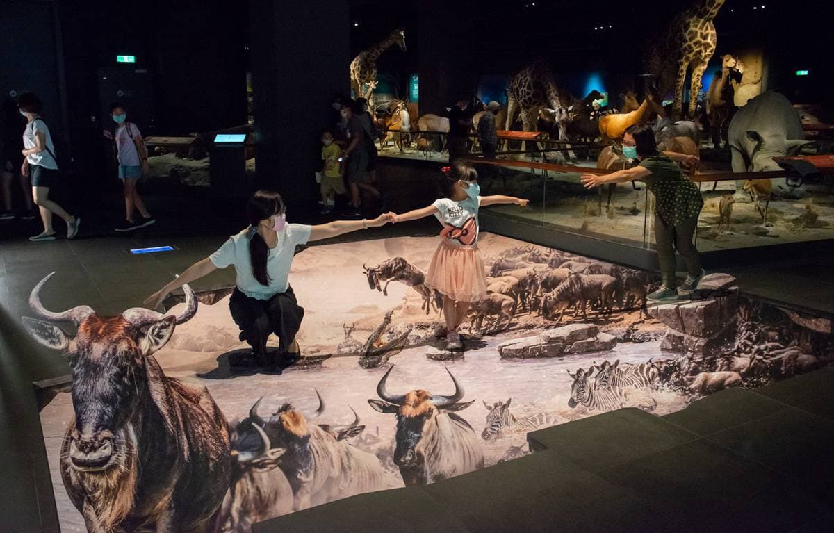 要救海豹嗎?奇美博物館最新「3D立體地景」北極熊、鱷魚超逼真 要救海豹嗎?奇美博物館最新「3D立體地景」北極熊、鱷魚超逼真