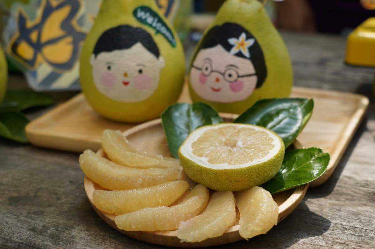 農遊券2.0來了!農委會9/5起開放「柚香券」登記,每人最高拿500元 農遊券2.0來了!農委會9/5起開放「柚香券」登記,每人最高拿500元