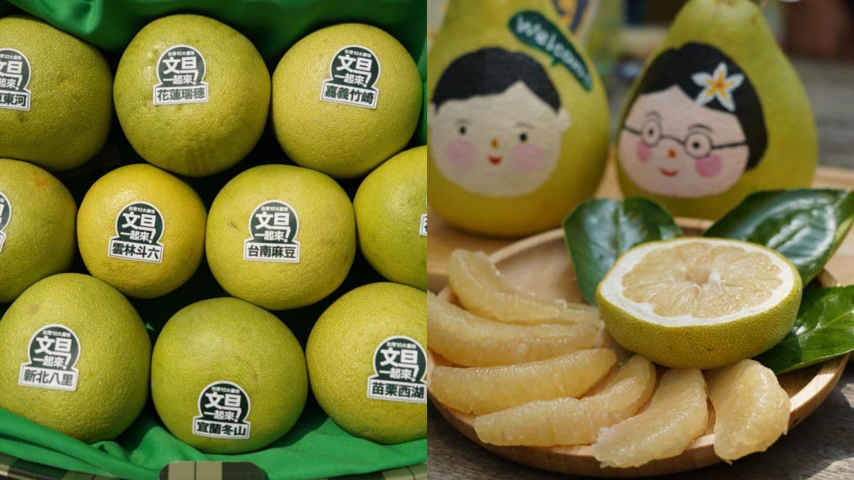 農遊券2.0來了!農委會9/5起開放「柚香券」登記,每人最高拿500元