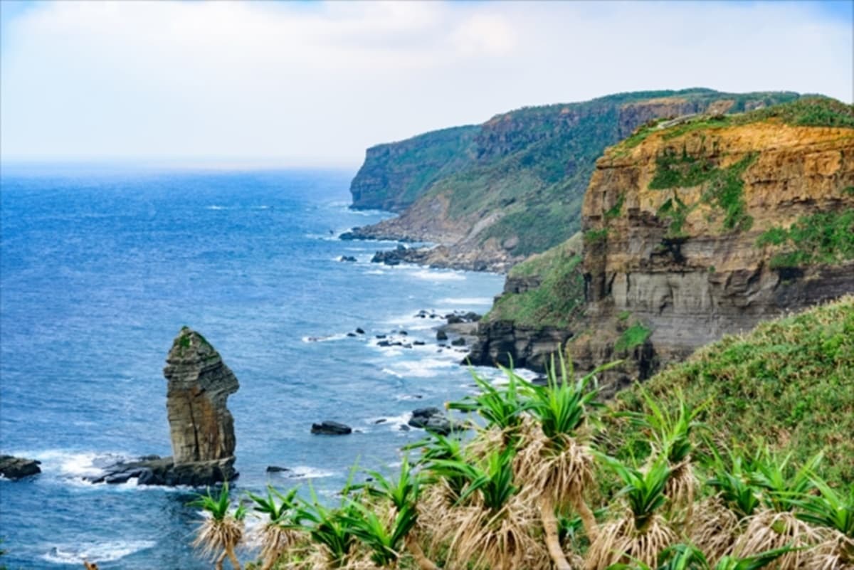 日本控嗨爆!「花蓮-沖繩小島」將開通高速船,預計明年度啟動 日本控嗨爆!「花蓮-沖繩小島」將開通高速船,預計明年度啟動