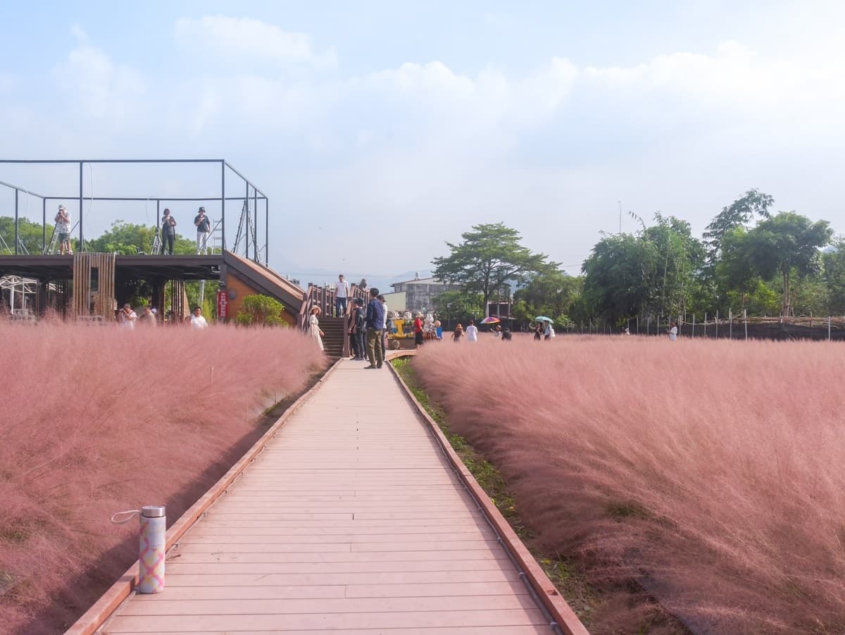 和平快樂田園
