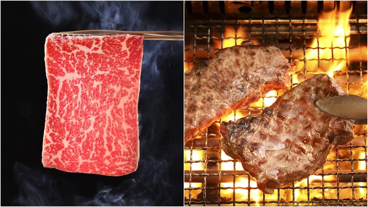 燒肉套餐限時買2送2!4種肉品定食198元起,日本A5和牛挑戰全世界最便宜
