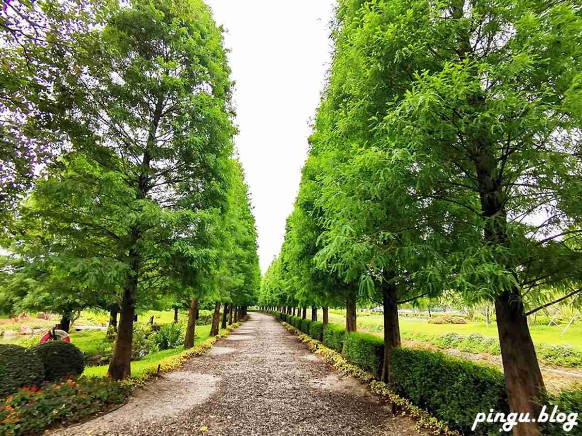 太好拍了!彰化台版「兼六園」找發光月兔、變色「毛怪」,還有IG打卡熱點落羽松大道 太好拍了!彰化台版「兼六園」找發光月兔、變色「毛怪」,還有IG打卡熱點落羽松大道