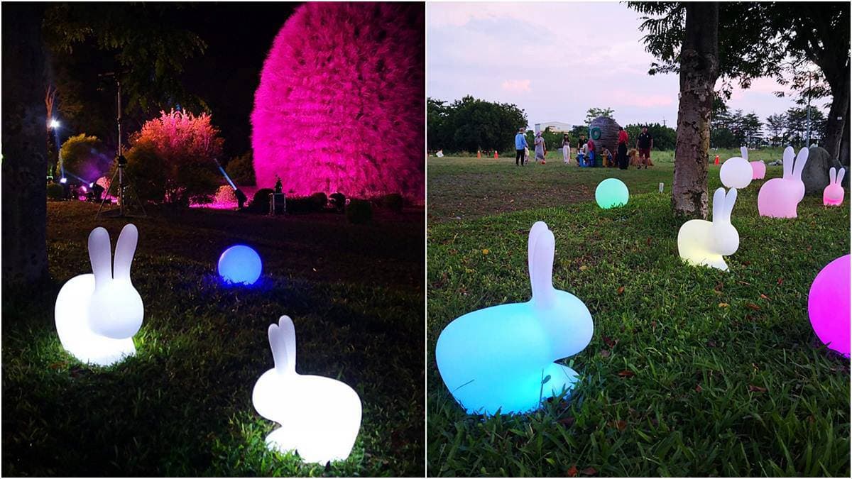 太好拍了!彰化台版「兼六園」找發光月兔、變色「毛怪」,還有IG打卡熱點落羽松大道