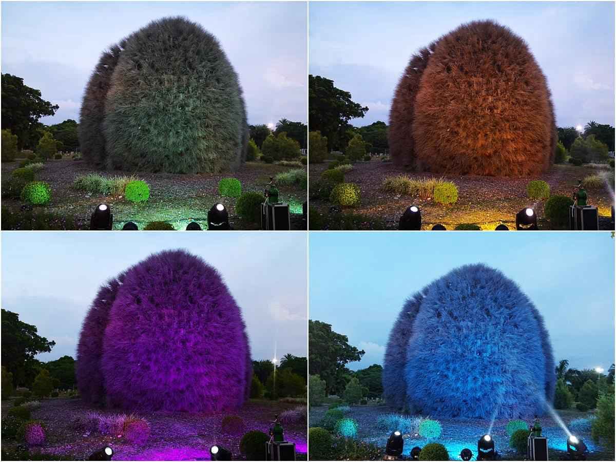 太好拍了!彰化台版「兼六園」找發光月兔、變色「毛怪」,還有IG打卡熱點落羽松大道 太好拍了!彰化台版「兼六園」找發光月兔、變色「毛怪」,還有IG打卡熱點落羽松大道