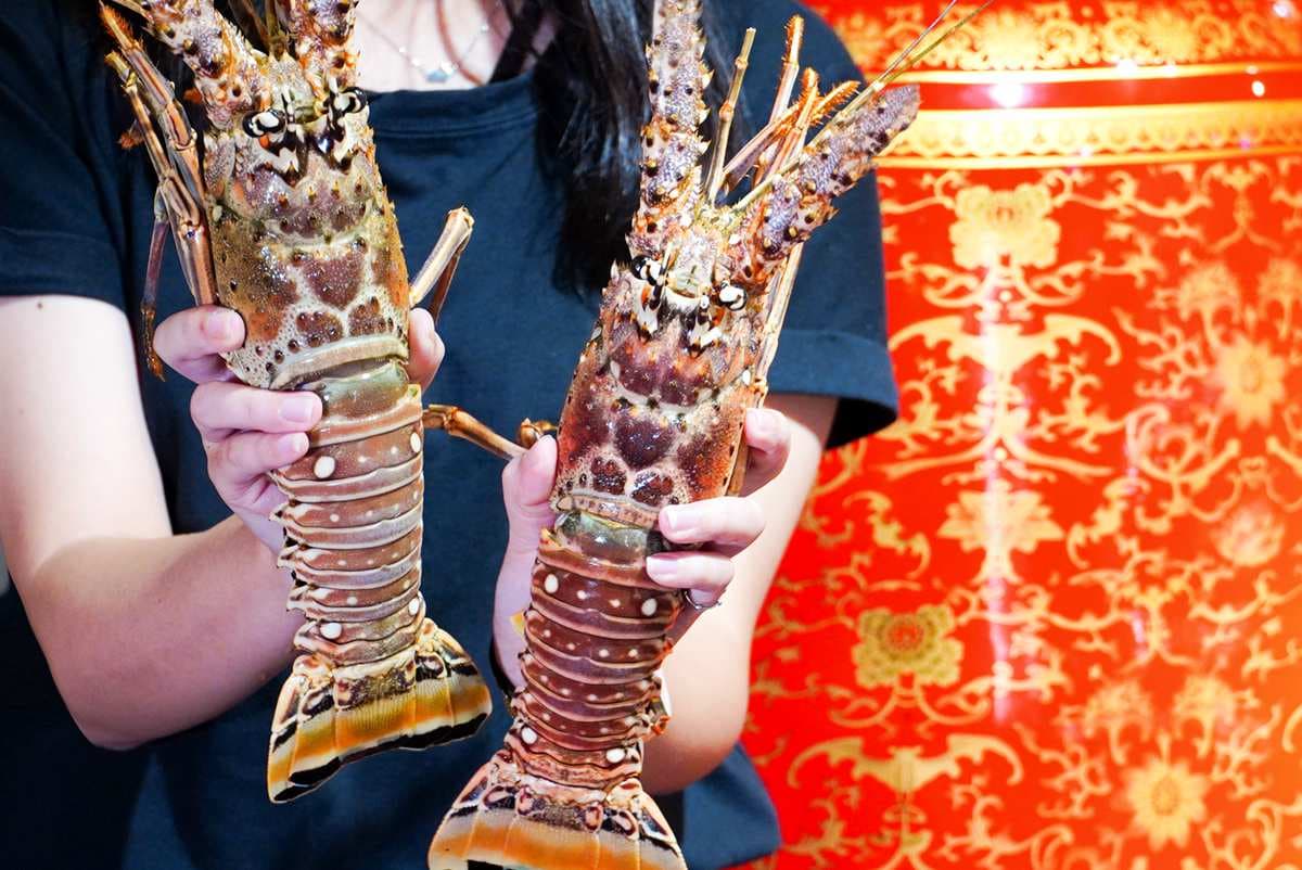 整個10月千元日本和牛免費吃、霸王級龍蝦+10元多一件!宮廷風鍋物壽星幾歲就送幾顆鮑魚 整個10月千元日本和牛免費吃、霸王級龍蝦+10元多一件!宮廷風鍋物壽星幾歲就送幾顆鮑魚